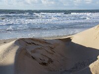 NL, Noord-Holland, Texel, Paal 16 27, Saxifraga-Foto Fitis-Sytske Dijksen