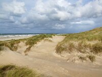 NL, Noord-Holland, Texel, Paal 8 32, Saxifraga-Foto Fitis-Sytske Dijksen