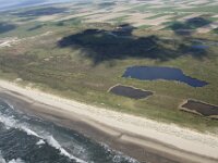 NL, Noord-Holland, Texel, De Muy 40, Saxifraga-Foto Fitis-Sytske Dijksen