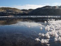 NL, Noord-Holland, Texel, Kees Dekkershok 2, Saxifraga-Foto Fitis-Sytske Dijksen