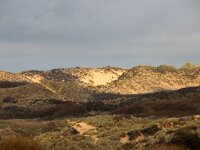 F, Pas-de-Calais, Wimereux, Dunes de la Slack 41, Saxifraga-Foto Fitis-Sytske Dijksen