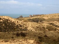 F, Pas-de-Calais, Wimereux, Dunes de la Slack 46, Saxifraga-Foto Fitis-Sytske Dijksen