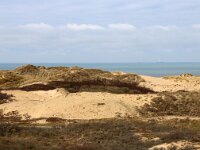 F, Pas-de-Calais, Wimereux, Dunes de la Slack 47, Saxifraga-Foto Fitis-Sytske Dijksen