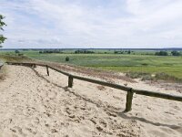 D, Mecklenburg-Vorpommern, Domitz, Binnendünen near Klein Schmolen 6, Saxifraga-Tom Heijnen