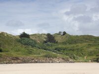 GB, Cornwall, Padstow 11, Saxifraga-Foto Fitis- Sytske Dijksen