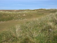 GB, Cornwall, Perranporth, Perran Sands 1, Saxifraga-Foto Fitis- Sytske Dijksen