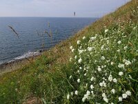 S, Skane lan, Ystad, Kaseberga 1, Foto Fitis-Sytske Dijksen