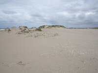 NL, Zuid-Holland, Westland, Monster 24, Saxifraga-Willem van Kruijsbergen