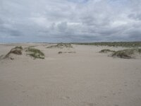 NL, Zuid-Holland, Westland, Monster 6, Saxifraga-Willem van Kruijsbergen