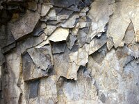 P, Madeira 5, Foto Fitis-Sytske Dijksen