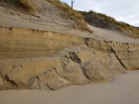 NL, Noord-Holland, Texel, Paal 16 33, Saxifraga-Foto Fitis-Sytske Dijksen
