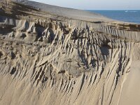NL, Noord-Holland, Texel, Paal 16 9, Saxifraga-Foto Fitis-Sytske Dijksen