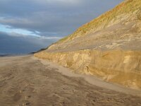 NL, Noord-Holland, Texel, Paal 9 53, Saxifraga-Foto Fitis-Sytske Dijksen