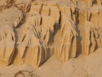 NL, Noord-Holland, Texel, Paal 9 61, Saxifraga-Foto Fitis-Sytske Dijksen