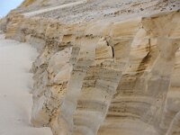 NL, Noord-Holland, Texel, paal 16 5, Saxifraga-Foto Fitis-Sytske Dijksen