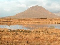 IRL, Galway County, Connemara 7, Saxifraga-Sasha van der Sleesen
