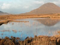 IRL, Galway County, Connemara 8, Saxifraga-Sasha van der Sleesen