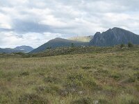 N, More og Romsdal, Fraena, Gule 25, Saxifraga-Annemiek Bouwman