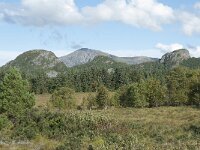 N, More og Romsdal, Fraena, Hustad 35, Saxifraga-Annemiek Bouwman