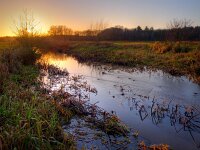 Setting sun shines through a tree  Setting sun shines through a tree above a natural stream : Drenthe, Noordenveld, atmosphere, autumn, background, beek, calm, creative nature, creek, dawn, diep, dusk, dutch, environment, european, field, flowing, grass, green, holland, landscape, landschap, leek, lieverenschediep, light, loop, natural, nature, nederland, orange, peace, quiet, reflect, reflection, river, rivier, roden, rudmer zwerver, serene, sky, spectacular, stream, sun, sunbeam, sunlight, sunray, sunrise, sunset, sunshine, tranquil, twilight, water, watergang, yellow, zonsondergang, zonsopkomst