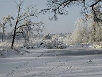 NL, Noord-Brabant, Alphen-Chaam, Goudberg 1, Saxifraga-Jan van der Straaten