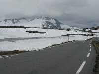 N, Innlandet, Lom, Fanarakbreen 2, Saxifraga-Willem van Kruijsbergen