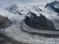 CH, Wallis, Zermatt, Gornergrat, Liskamm-Zwillinge 2, Saxifraga-Willem van Kruijsbergen