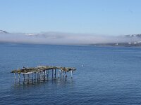N, Finnmark, Sor Varanger, Varangerfjord 8, Saxifraga-Dirk Hilbers