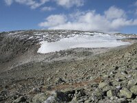 N, Buskerud, Hol, Prestholtskaret 14, Saxifraga-Willem van Kruijsbergen
