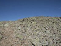 N, Buskerud, Hol, Prestholtskaret 23, Saxifraga-Willem van Kruijsbergen