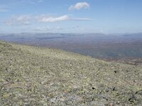N, Buskerud, Hol, Prestholtskaret 48, Saxifraga-Willem van Kruijsbergen