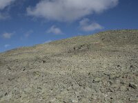 N, Buskerud, Hol, Prestholtskaret 7, Saxifraga-Willem van Kruijsbergen