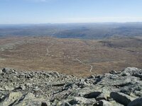 N, Buskerud, Hol, Prestholtskaret 88, Saxifraga-Annemiek Bouwman