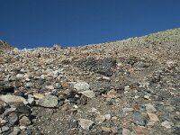 N, Buskerud, Hol, Prestholtskaret 90, Saxifraga-Annemiek Bouwman