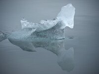IS, Austurland, Skaftafellssysla, Jokulsarlon 13, Saxifraga-Mira Hoogenboom