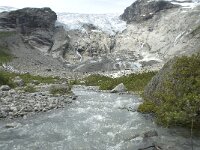 N, Sogn og Fjordane, Luster, Bergsetbreen 20, Saxifraga-Willem van Kruijsbergen