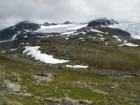 N, Innlandet, Lom, Sognefjell 3, Saxifraga-Jan van der Straaten