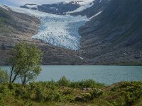 N, Nordland, Meloy, Svartisen 30, Saxifraga-Jan van der Straaten