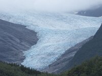N, Nordland, Meloy, Svartisen 52, Saxifraga-Willem van Kruijsbergen