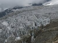 CH, Wallis, Saas Fee, Feegletscher 29, Saxifraga-Willem van Kruijsbergen