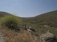 GR, Lesvos, Sigri 2, Saxifraga-Lianne Schroeder