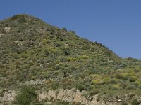 E, Granada, Polopos 2, Saxifraga-Willem van Kruijsbergen