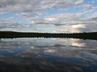 FIN, Oulu, Kuusamo, Oulanka 11, Saxifraga-Dirk Hilbers