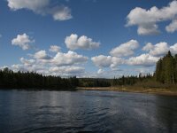 FIN, Oulu, Kuusamo, Oulanka 2, Saxifraga-Dirk Hilbers