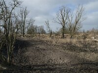 NL, Flevoland, Lelystad, Oostvaardersplassen 7, Saxifraga-Willem van Kruijsbergen