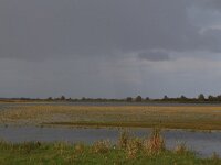 NL, Friesland, Dongeradeel, Ezumakeeg 13, Saxifraga-Hans Boll