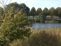 NL, Noord-Brabant, 's-Hertogenbosch, De Pettelaar 11, Saxifraga-Jan van der Straaten