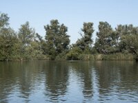 NL, Noord-Brabant, Altena, Gat van den Hardenhoek 35, Saxifraga-Willem van Kruijsbergen