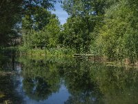NL, Noord-Brabant, Altena, Verbinding Oostkil-Hank 4, Saxifraga-Jan van der Straaten