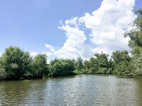 NL, Noord-Brabant, Drimmelen, Buiten Kooigat 1, Saxifraga-Bart Vastenhouw